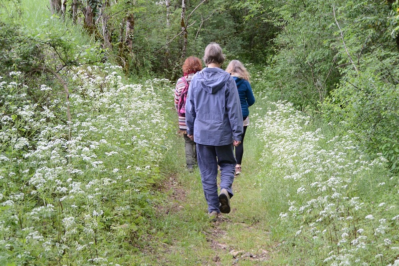 Randonnée à Saint-Jory-Las-Bloux organisée par ...