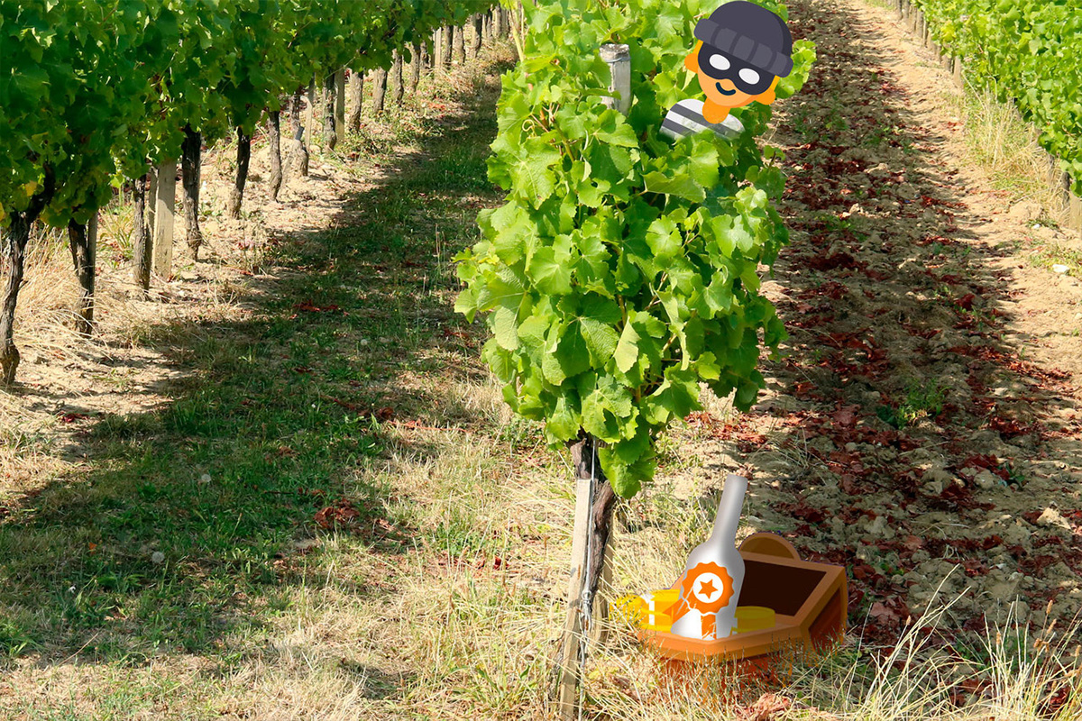 Escape game dans les vignes | Château du Haut  ...