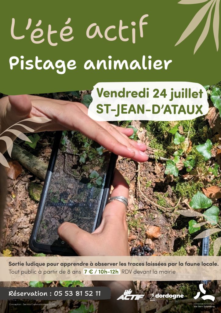 Eté actif : Pistage animalier