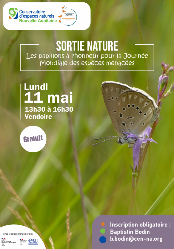 Sortie nature