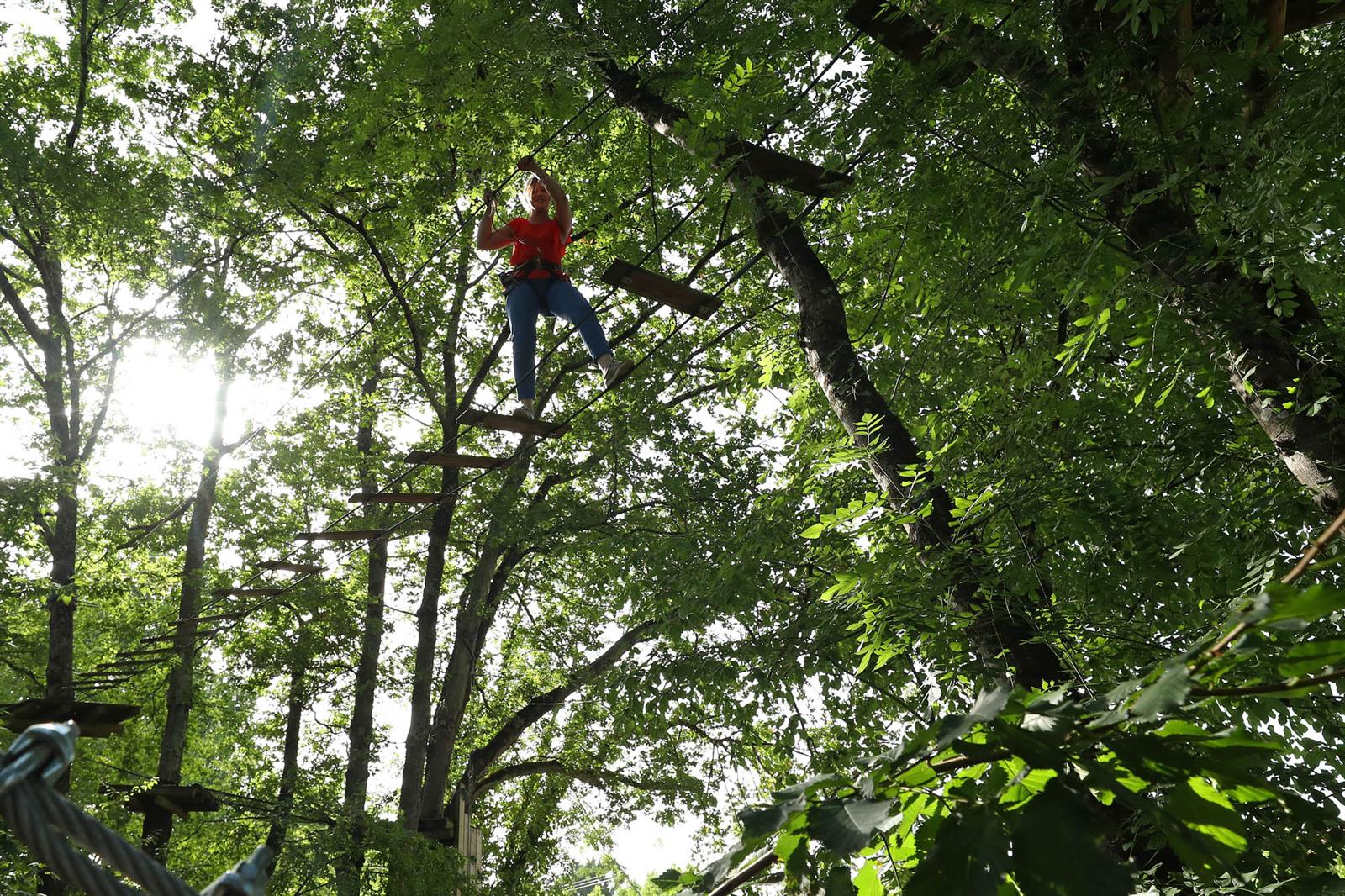 Eté actif 2026 : Grimpe d'arbre