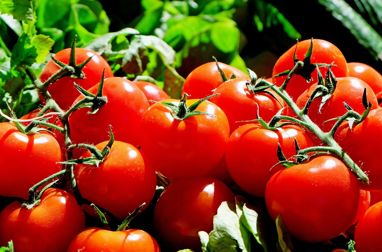 Marché des producteurs