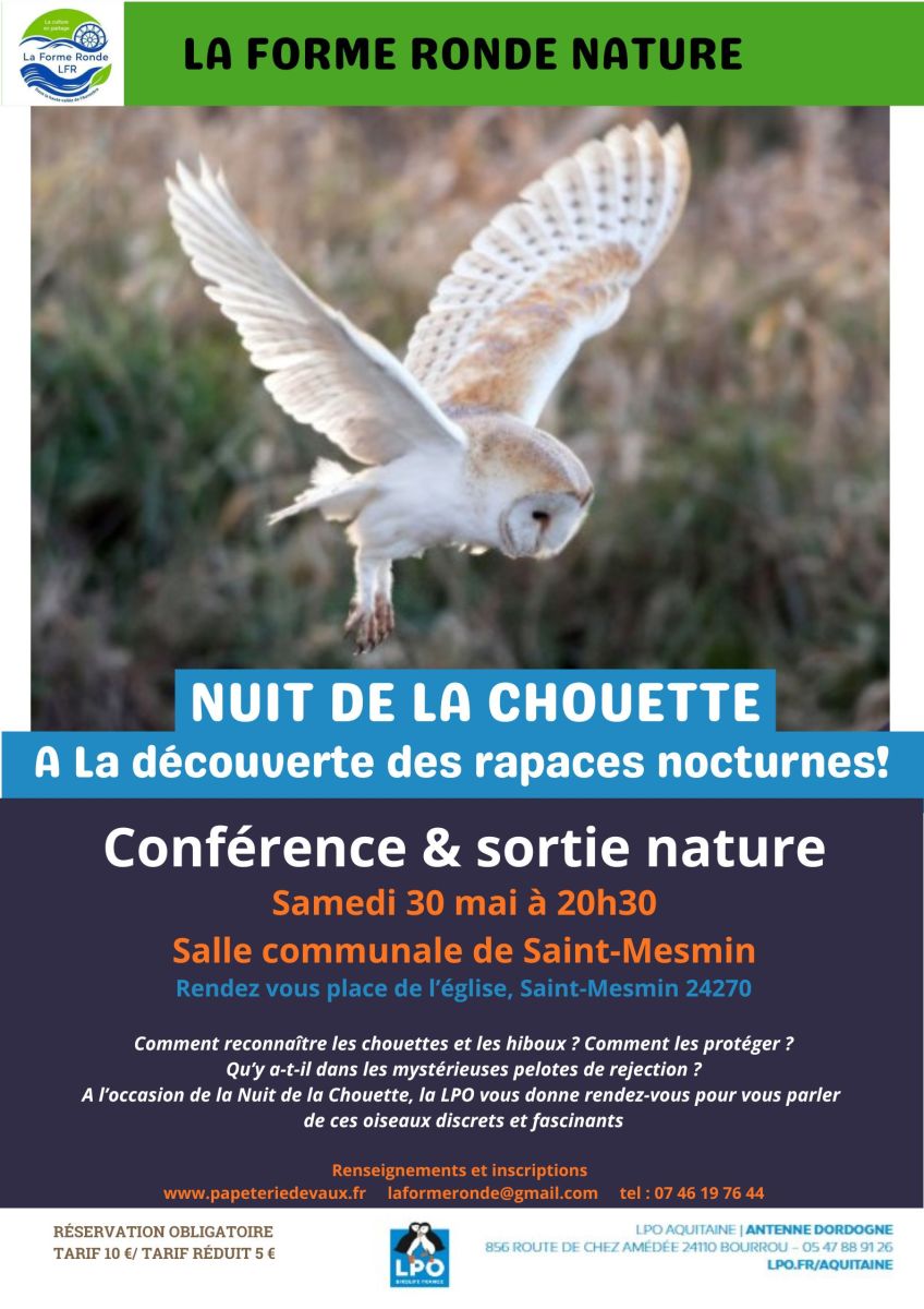 A la découverte des chouettes