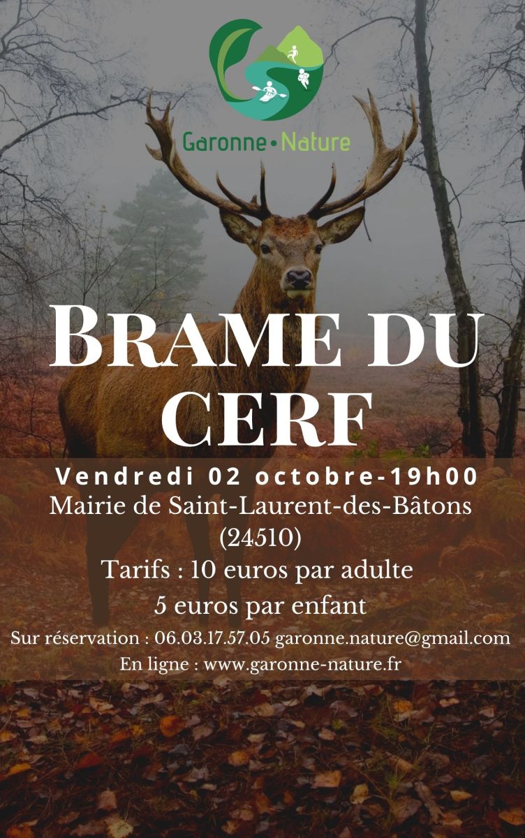 Sortie brame du cerf