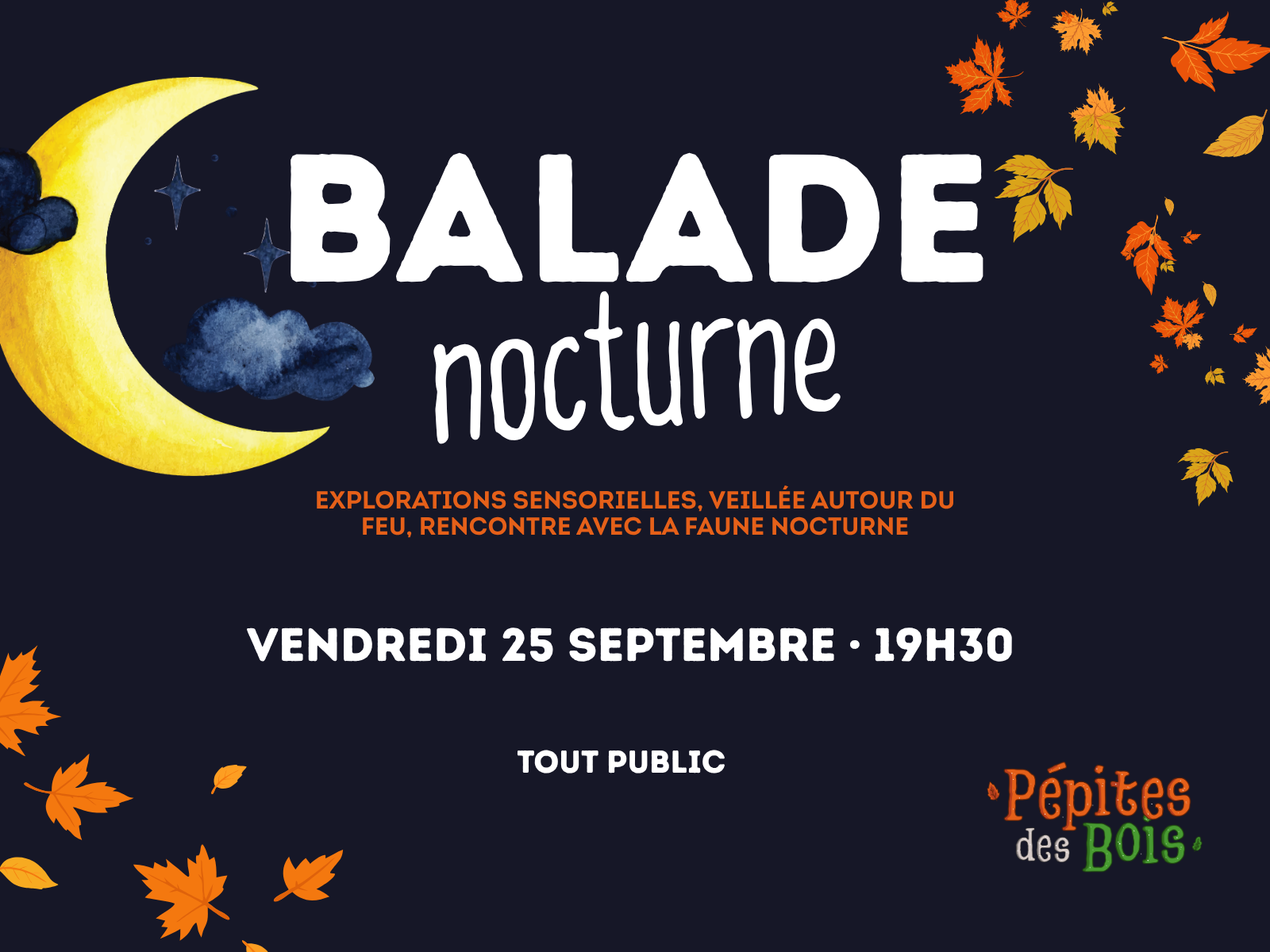 Balade nocturne familiale en forêt | Tout public