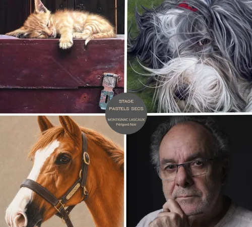 Stage de Pastels Sec animé par Aurelio Rodriguez Lopez