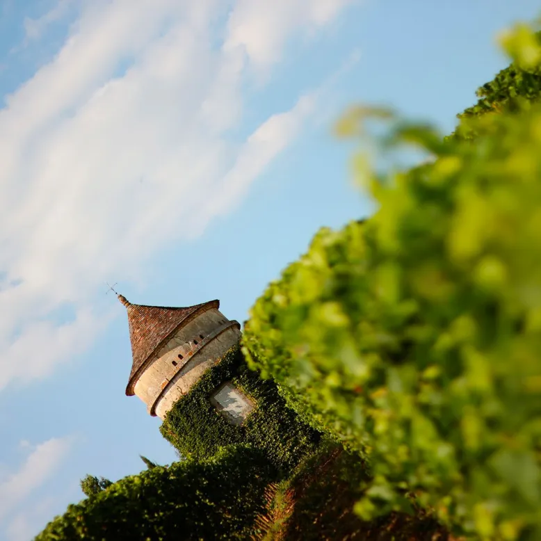 Château Terre Vieille