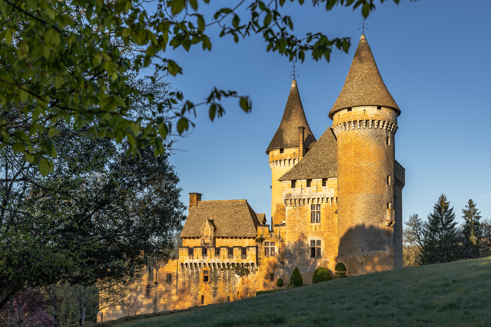 Château de Puymartin