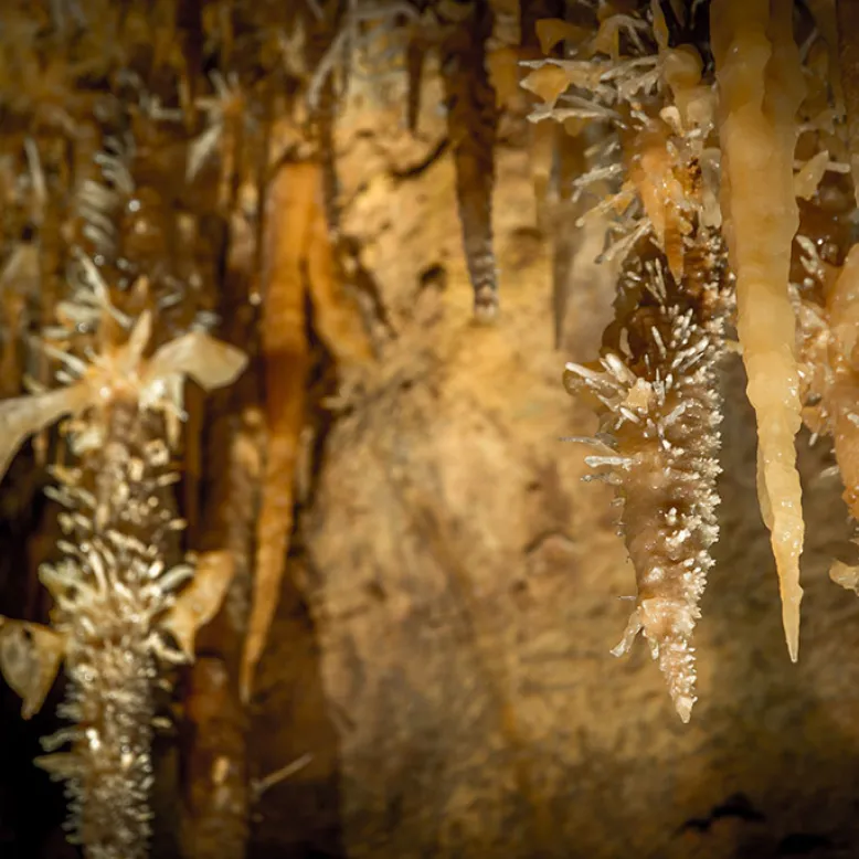 Caves of Maxange