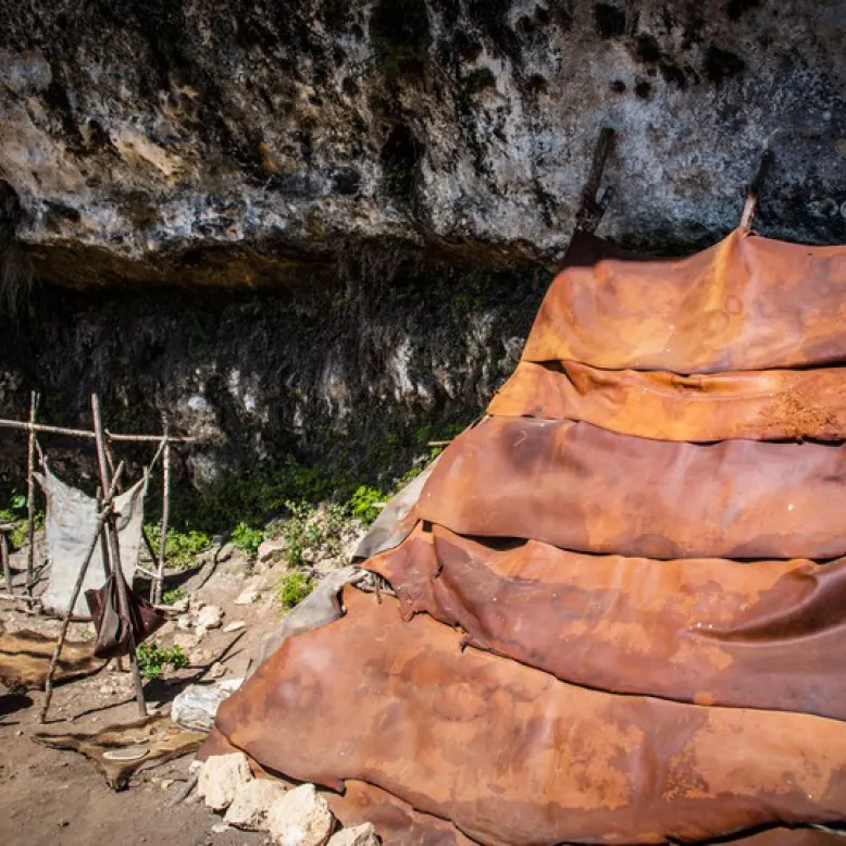 Prehistoric Shelters of Laugerie Basse