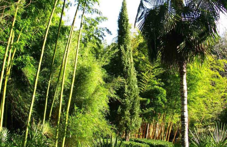 Jardin de Planbuisson