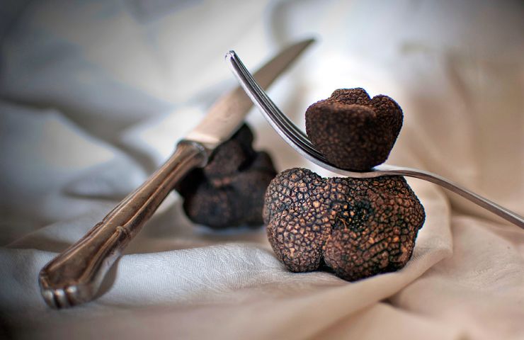 Écomusée de la Truffe