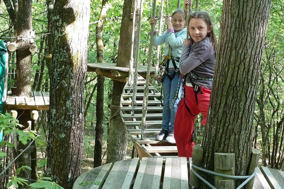 L'Appel de la Forêt