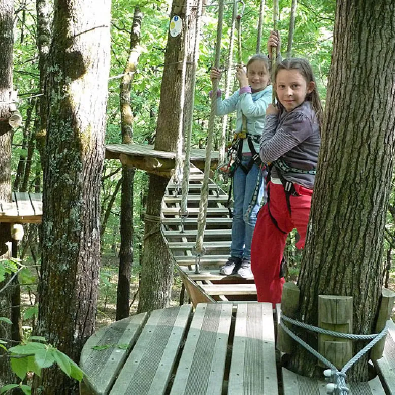 L'Appel de la Forêt