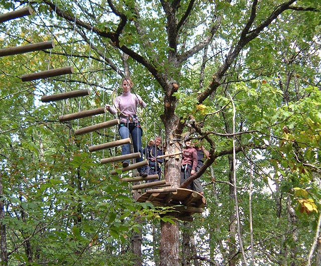 L'Appel de la Forêt - Tree climbing adventures Parks in Thenon - Guide du  Périgord