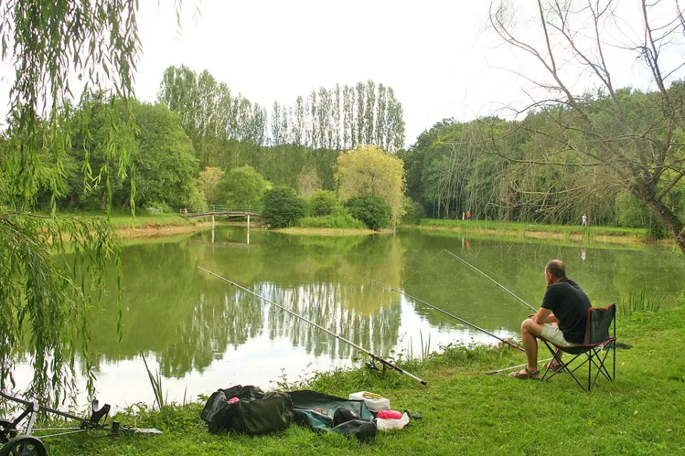 Aux Étangs du Bos