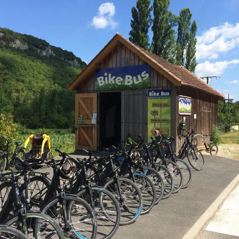 Bike Bus
