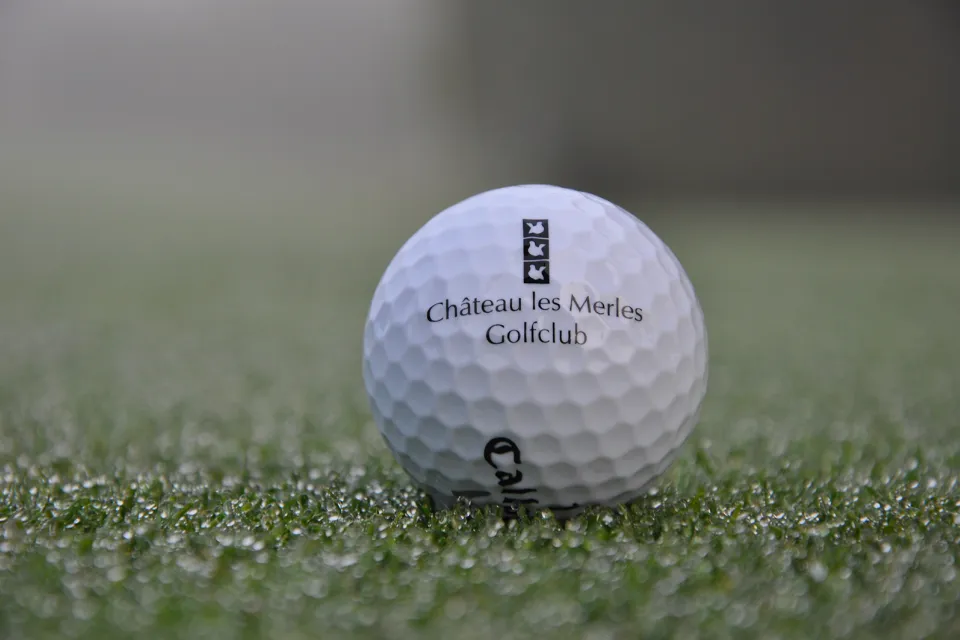 Golf of Castle les Merles