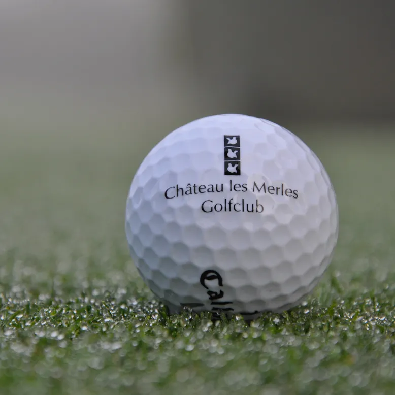 Golf du Château les Merles