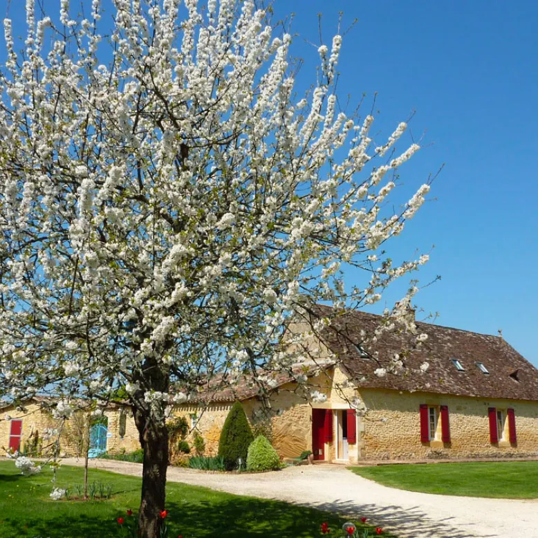 La Borie du Chevrier