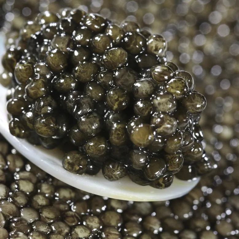 Caviar Perle Noire