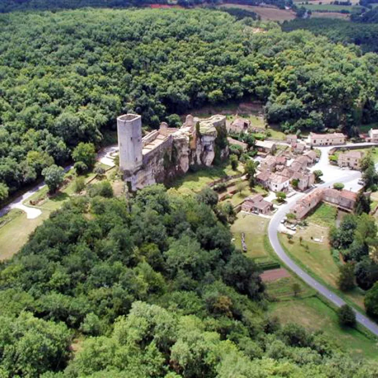 Château de Gavaudun