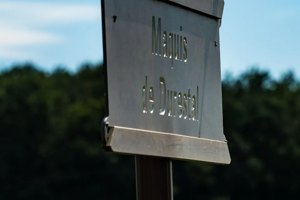 Maquis de Durestal