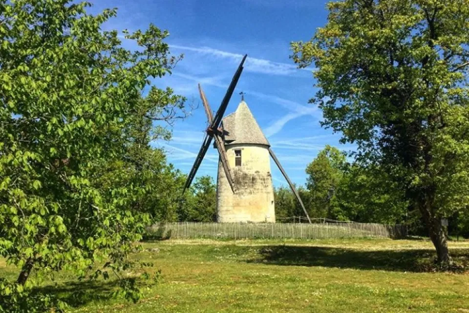 La Tour Blanche