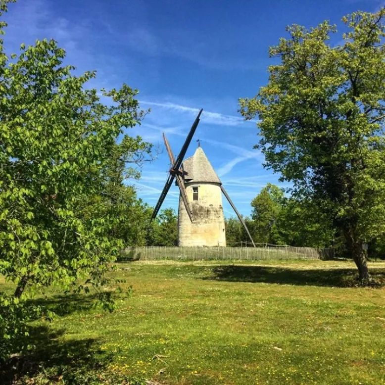 La Tour Blanche