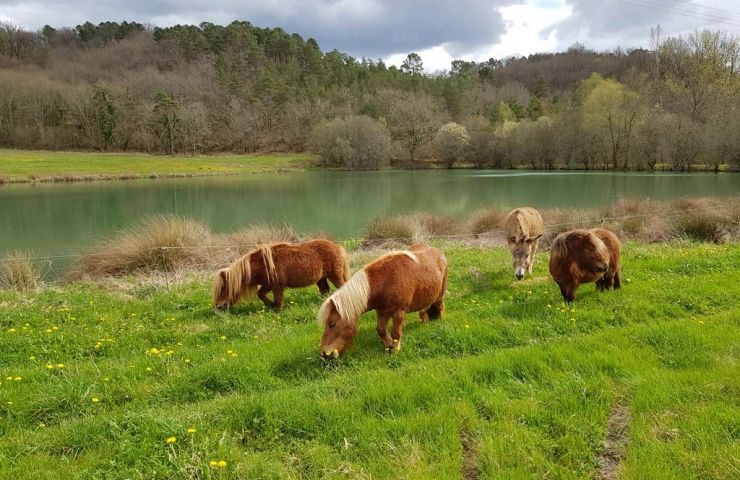 Association Equiloisirs