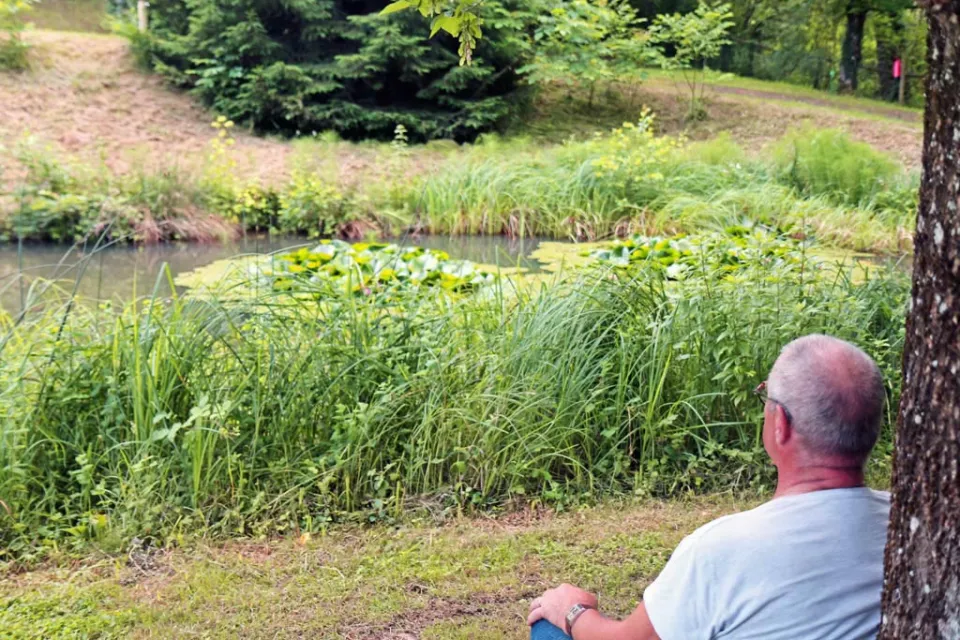 Camping Le Moulin de David
