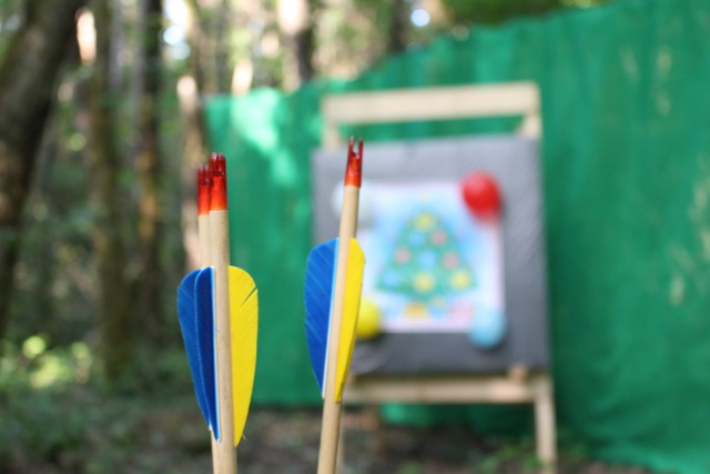 arcgames com ru playstation