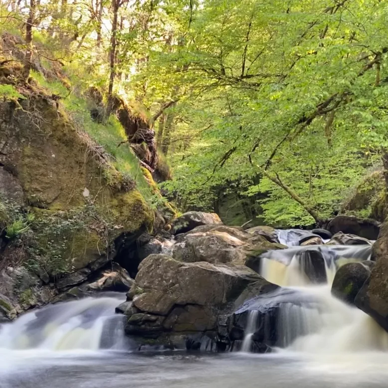 Le Saut du Chalard