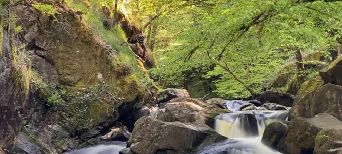 Le Saut du Chalard