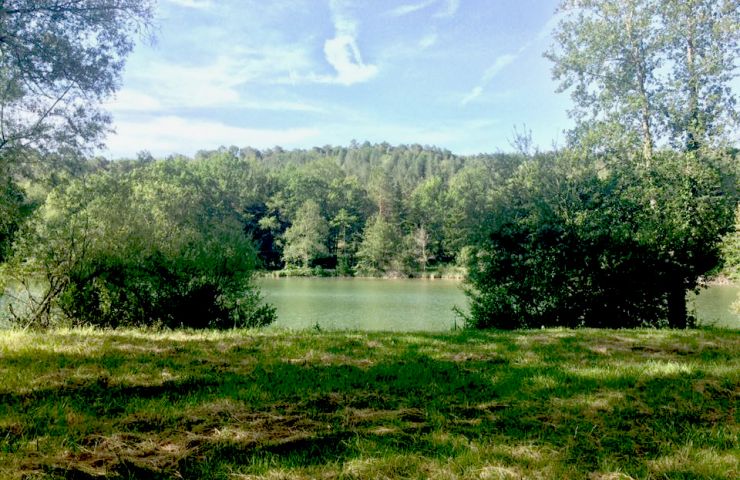 Les étangs de Fongran à Thonac