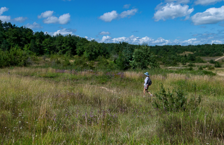 Le Causse de l’Isle