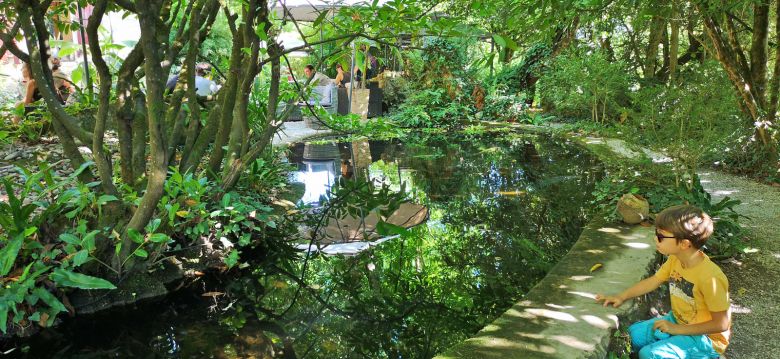 Le jardin Tropical de La Roque Gageac