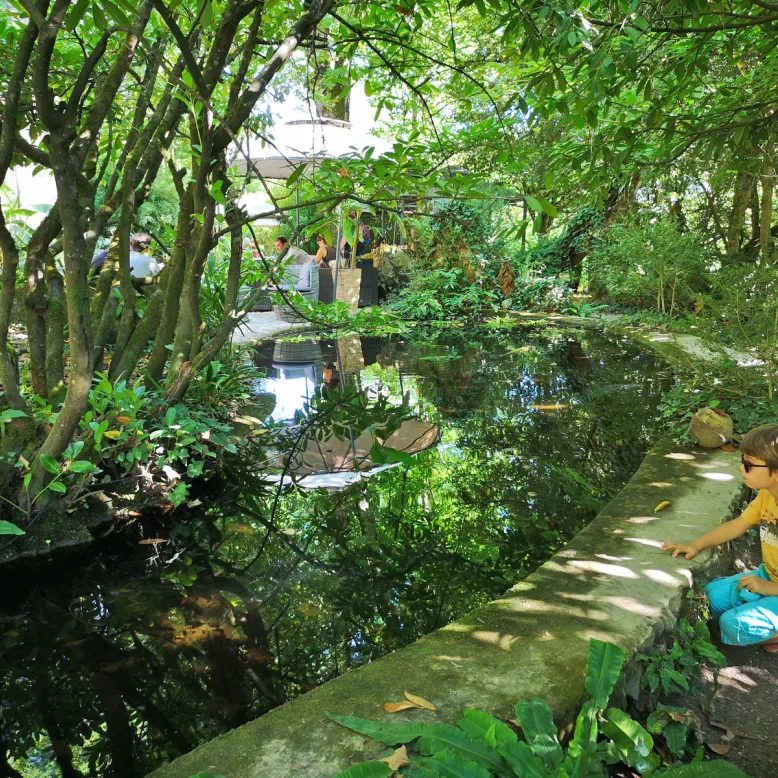 Le jardin Tropical de La Roque Gageac