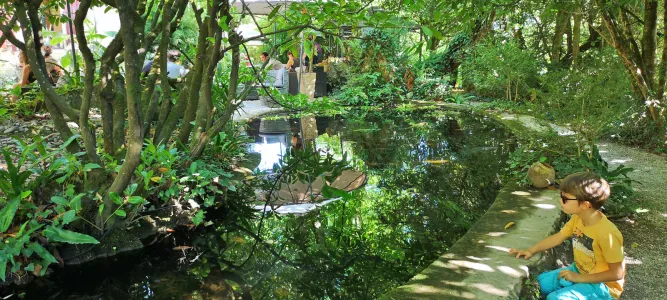 Le jardin Tropical de La Roque Gageac
