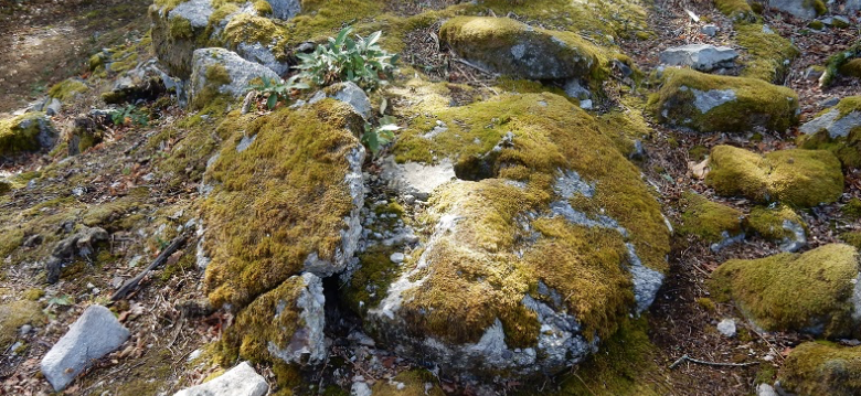 Sentier d’interprétation des Meulières