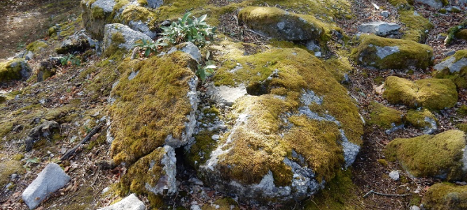 Sentier d’interprétation des Meulières