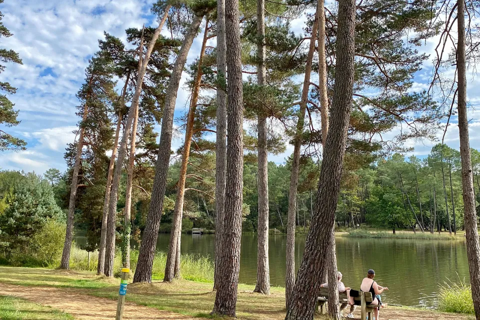 La Forêt de la Double
