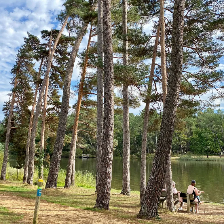La Forêt de la Double