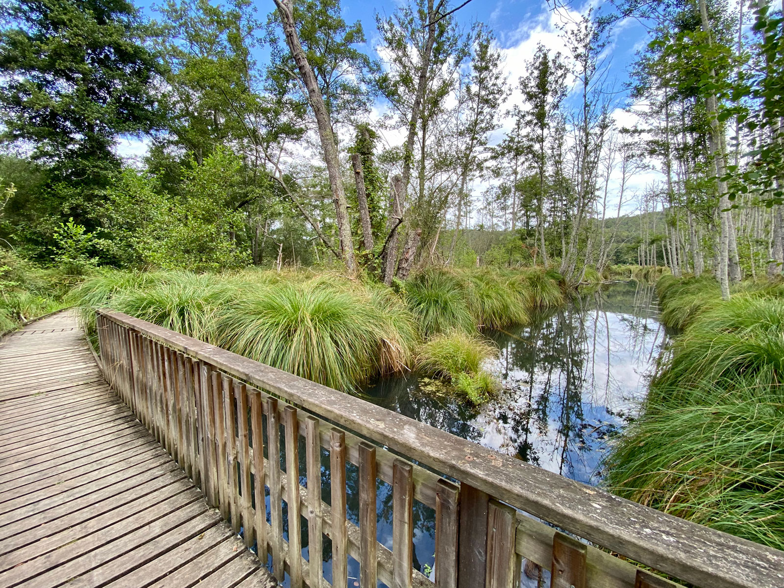 La Réserve Naturelle du Marais de Groléjac