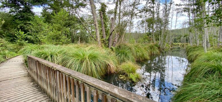 La Réserve Naturelle du Marais de Groléjac