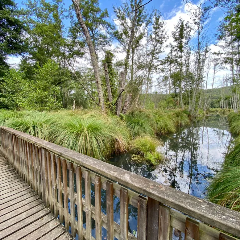 La Réserve Naturelle du Marais de Groléjac