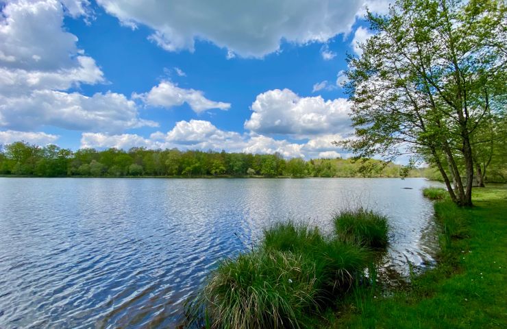 Les étangs de Saint Saut Lacoussière et de Sai ...