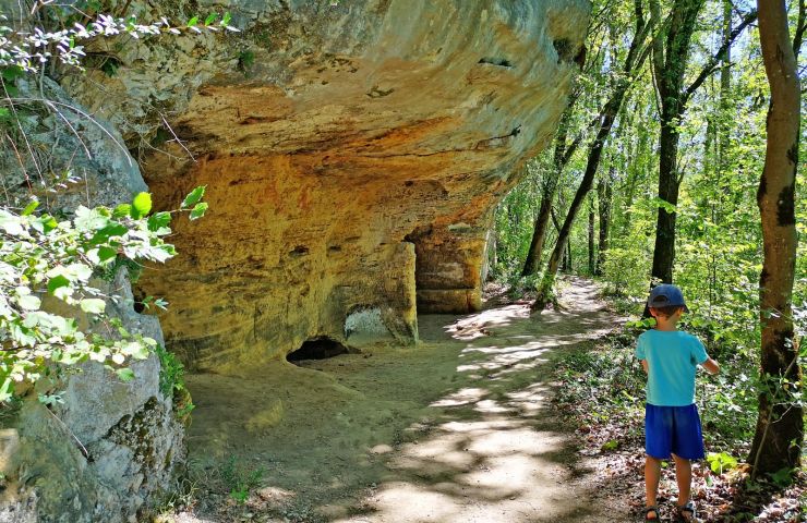 Le Parc Domanial de la foret de Campagne