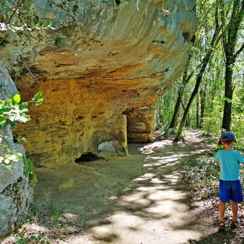 Le Parc Domanial de la foret de Campagne