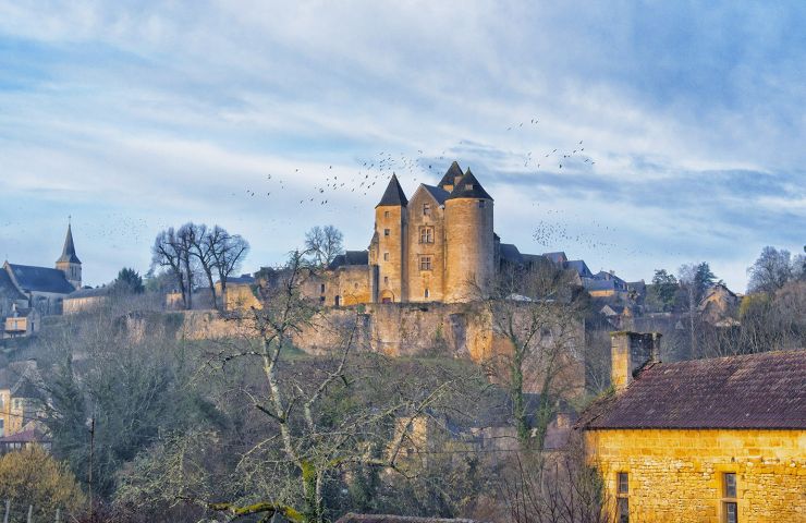 Château de Salignac